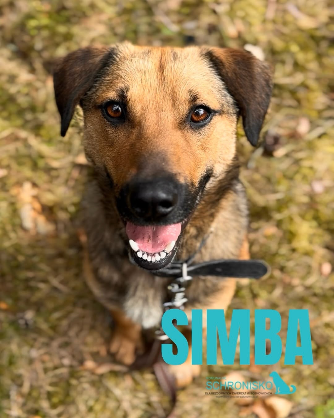 SIMBA