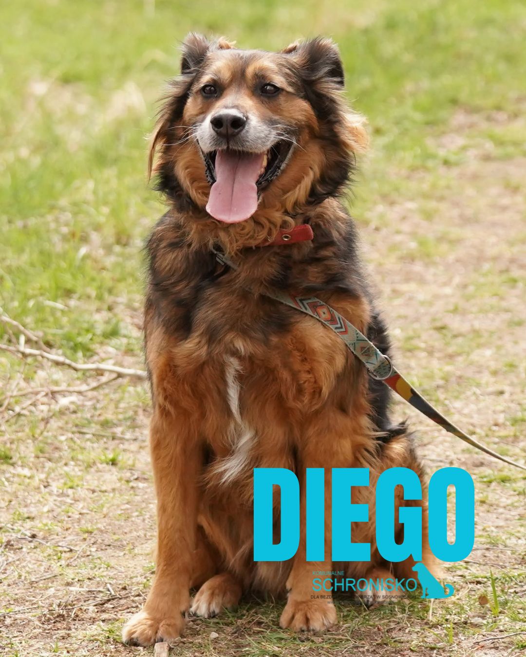 DIEGO