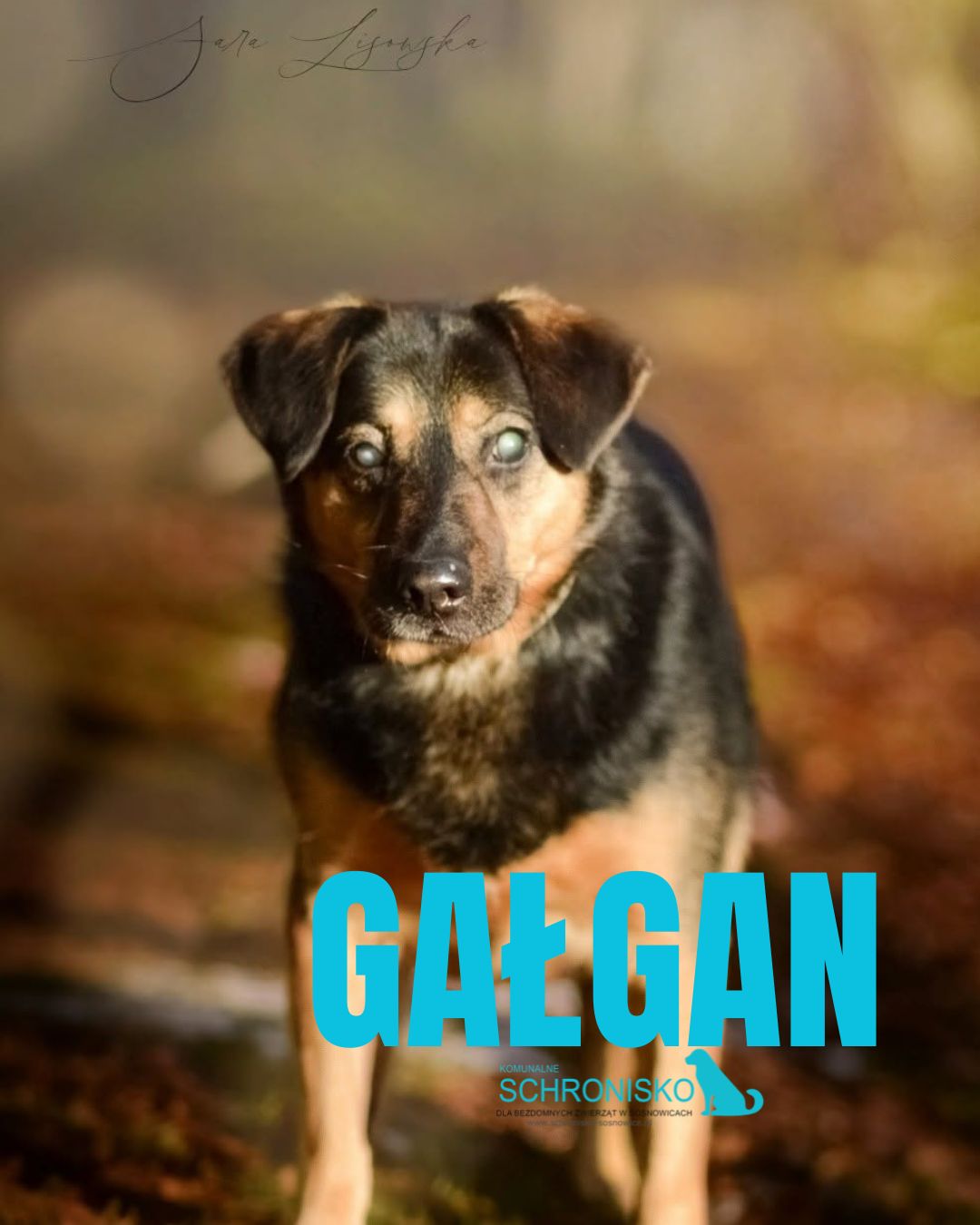 GAŁGAN