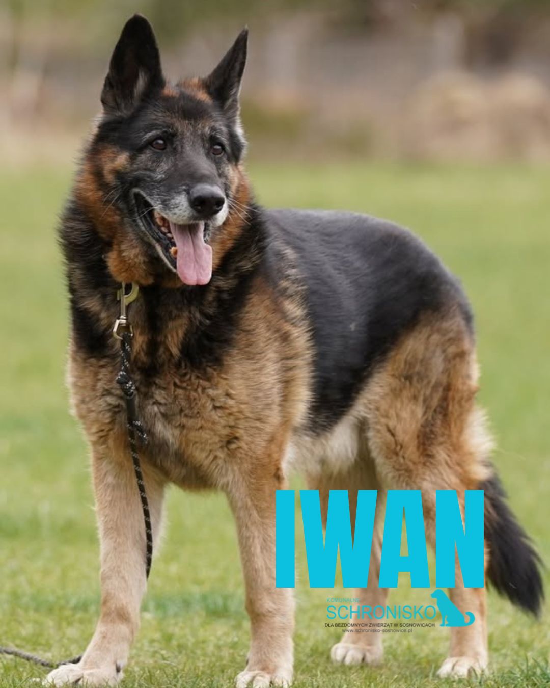 IWAN