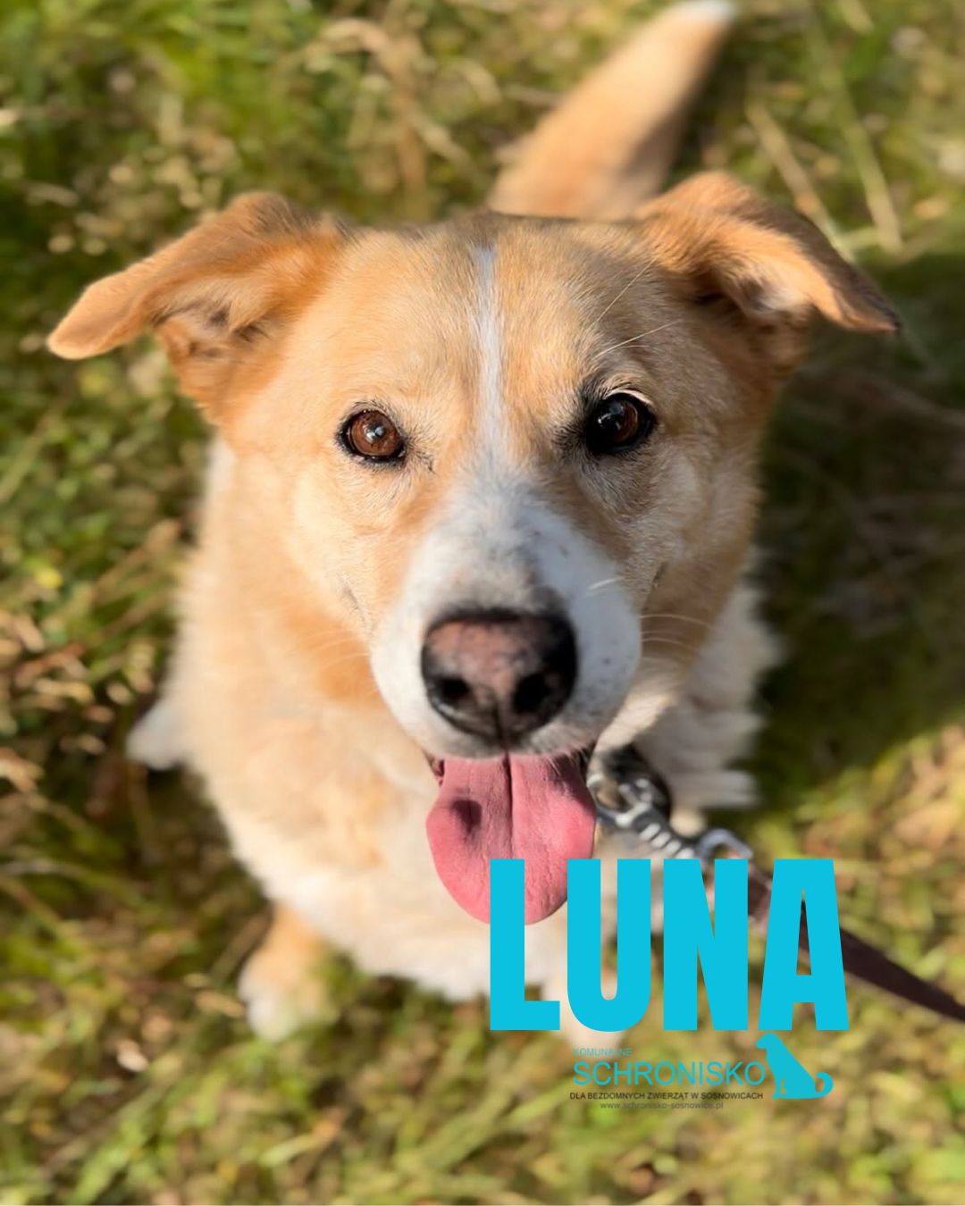 LUNA