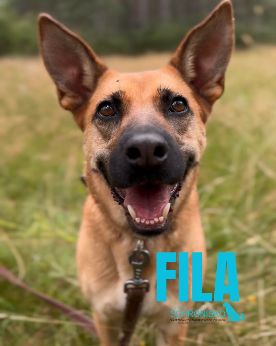 FILA