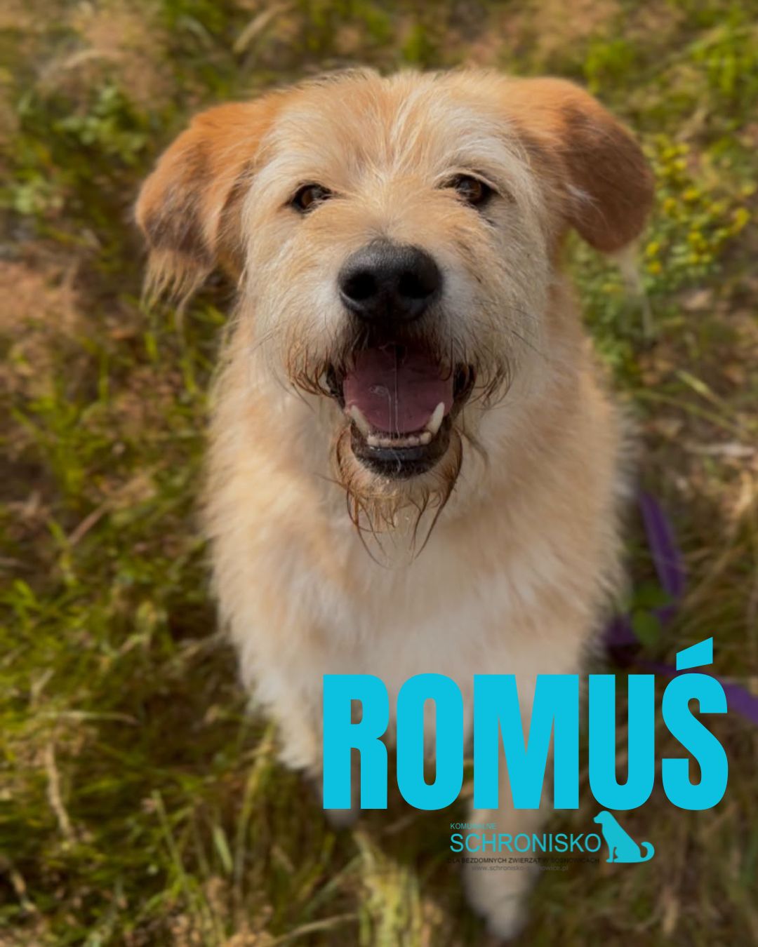 ROMUŚ