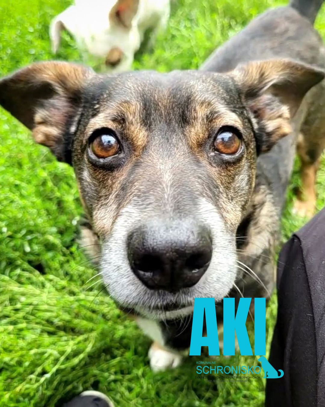 AKI