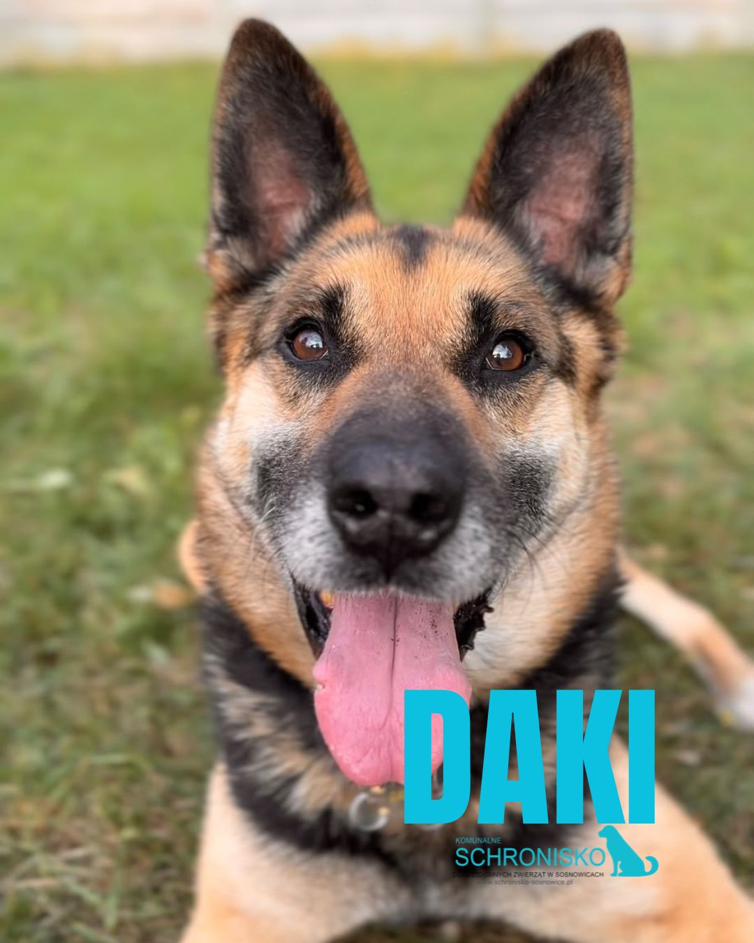 DAKI