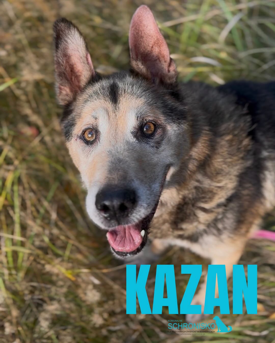 KAZAN