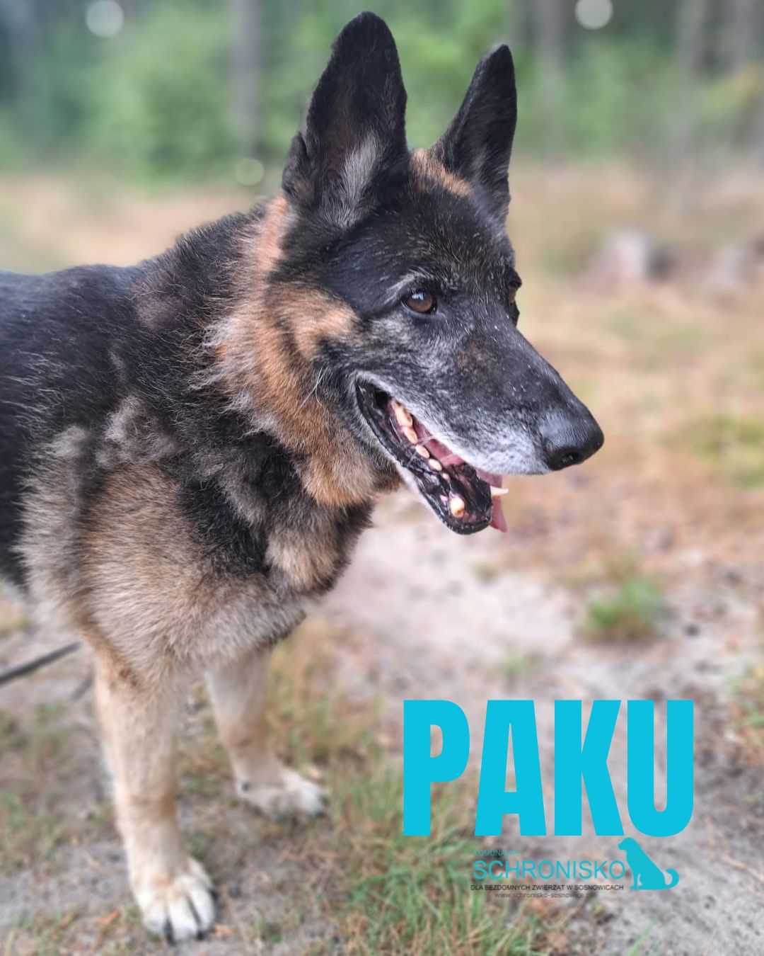 PAKU