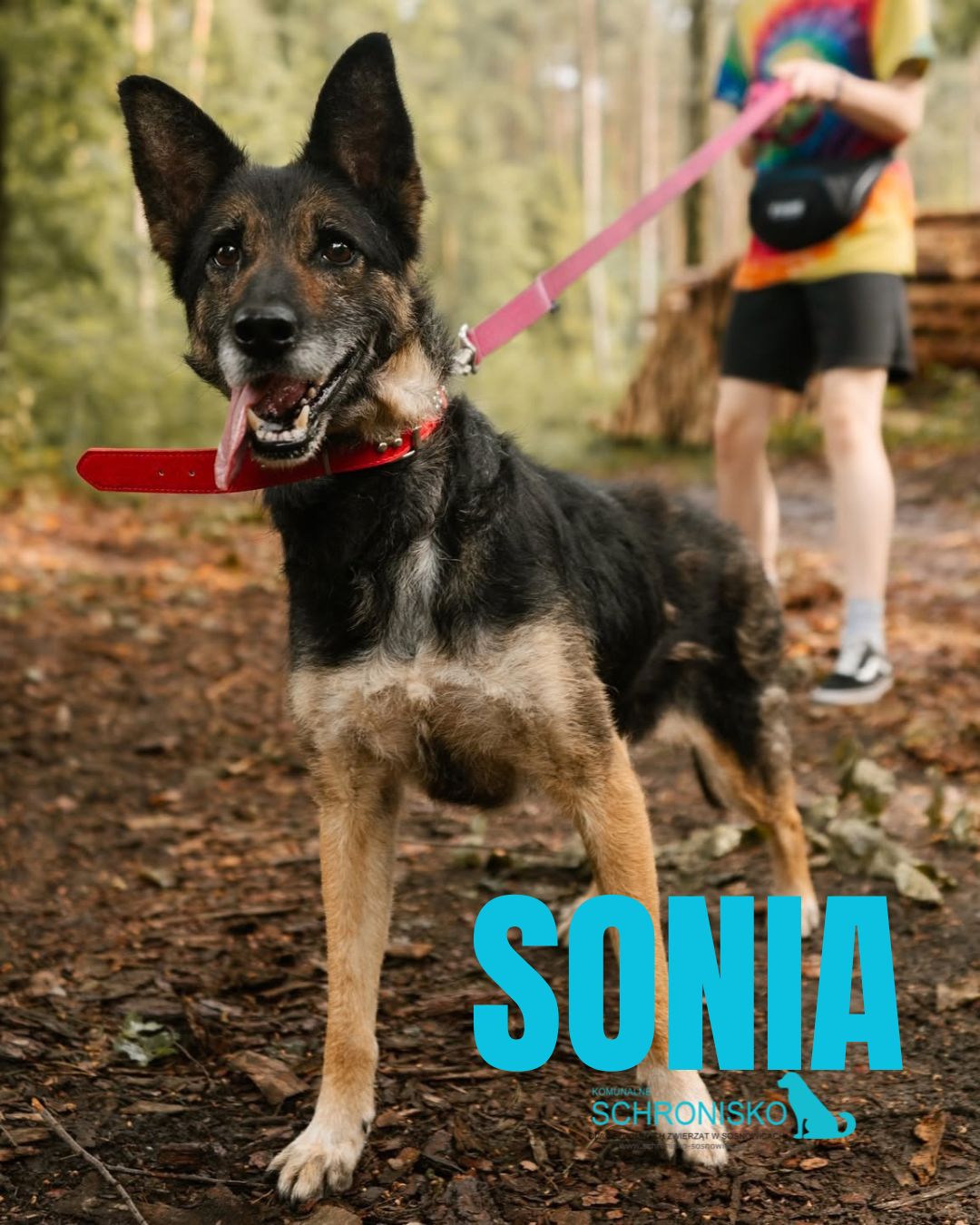 SONIA’25