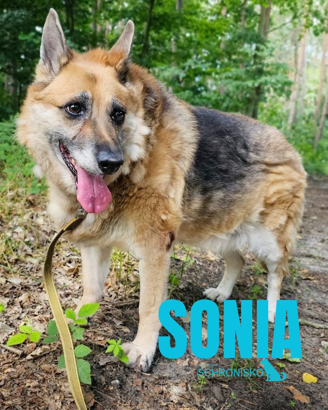 SONIA