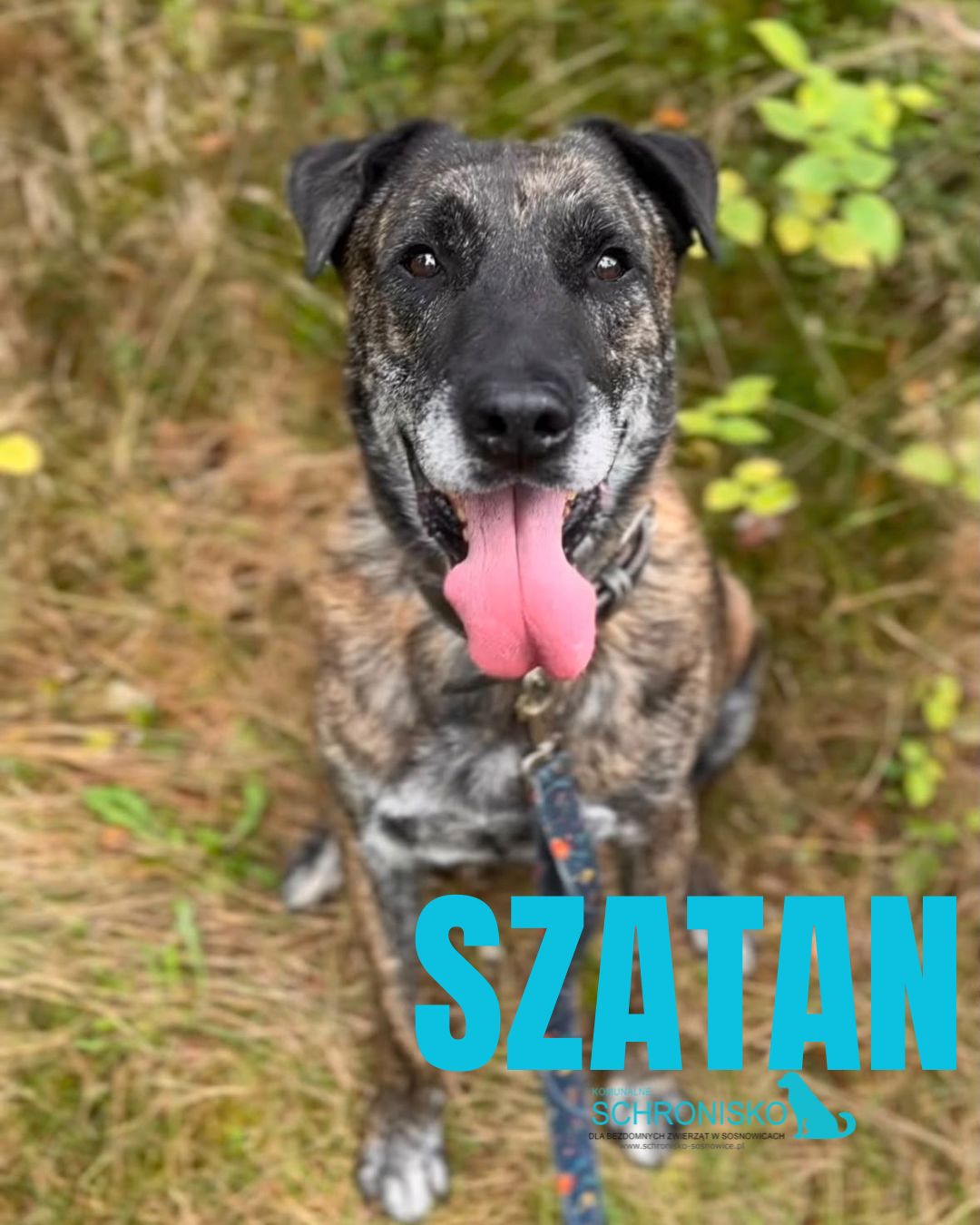 SZATAN